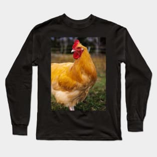 Photo of Proud Colorful Rooster Long Sleeve T-Shirt